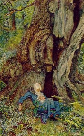 Der schlafende Merlin im Wald