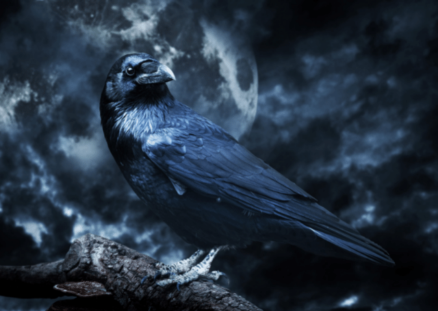 Schlachtenkrähen-Gestalt der Badb