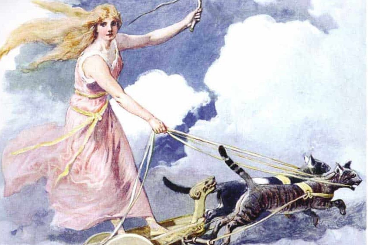 Freya in ihrem Streitwagen mit Katzen