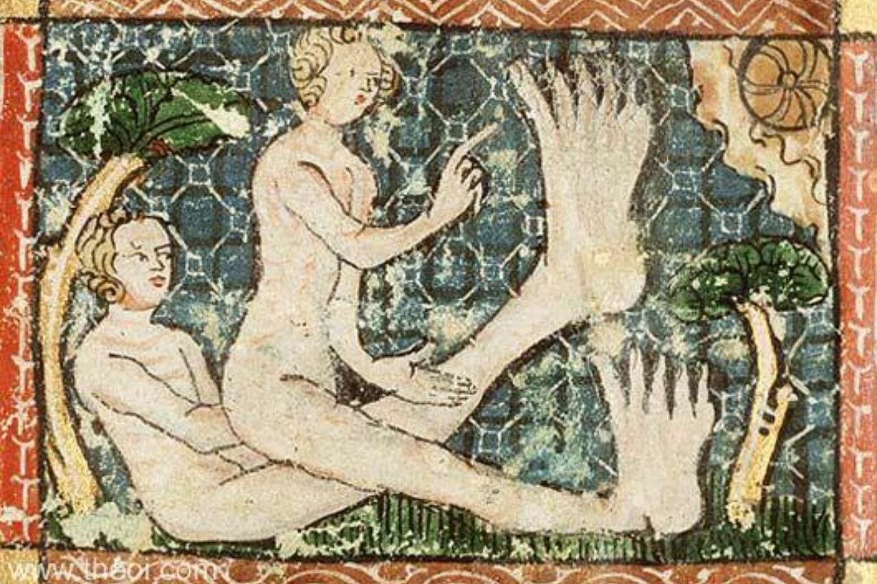 Sciapods all you need to know