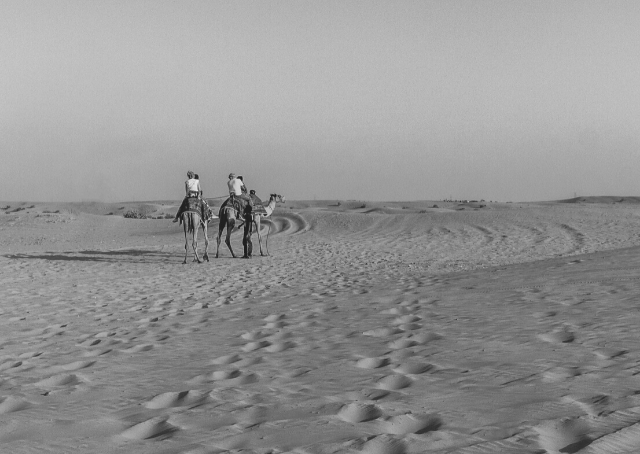 Beduinenkarawane in einer Wüste