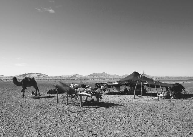 Berber bivouac