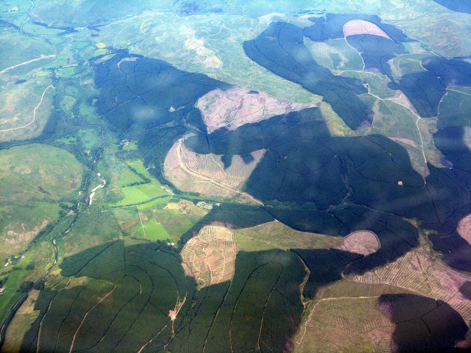 Die Wälder Craik und Ettrick