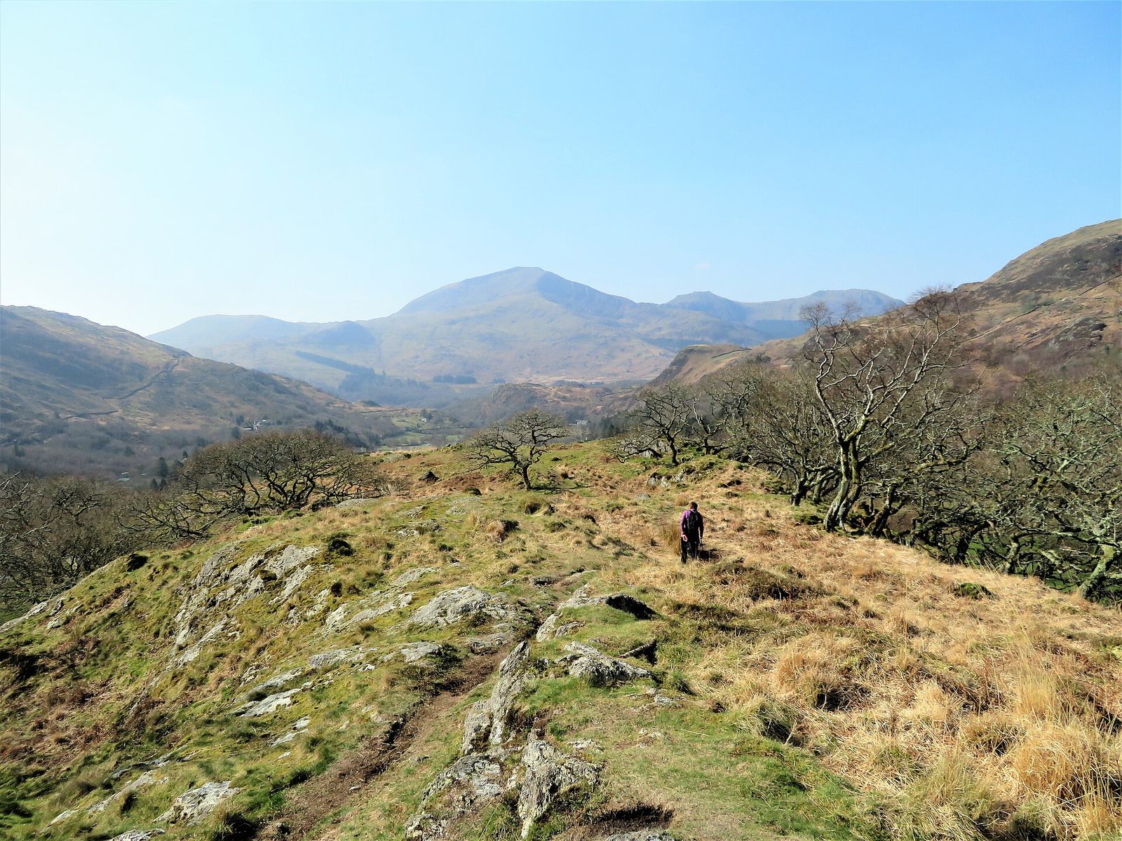 Im Inneren von Dinas Emrys
