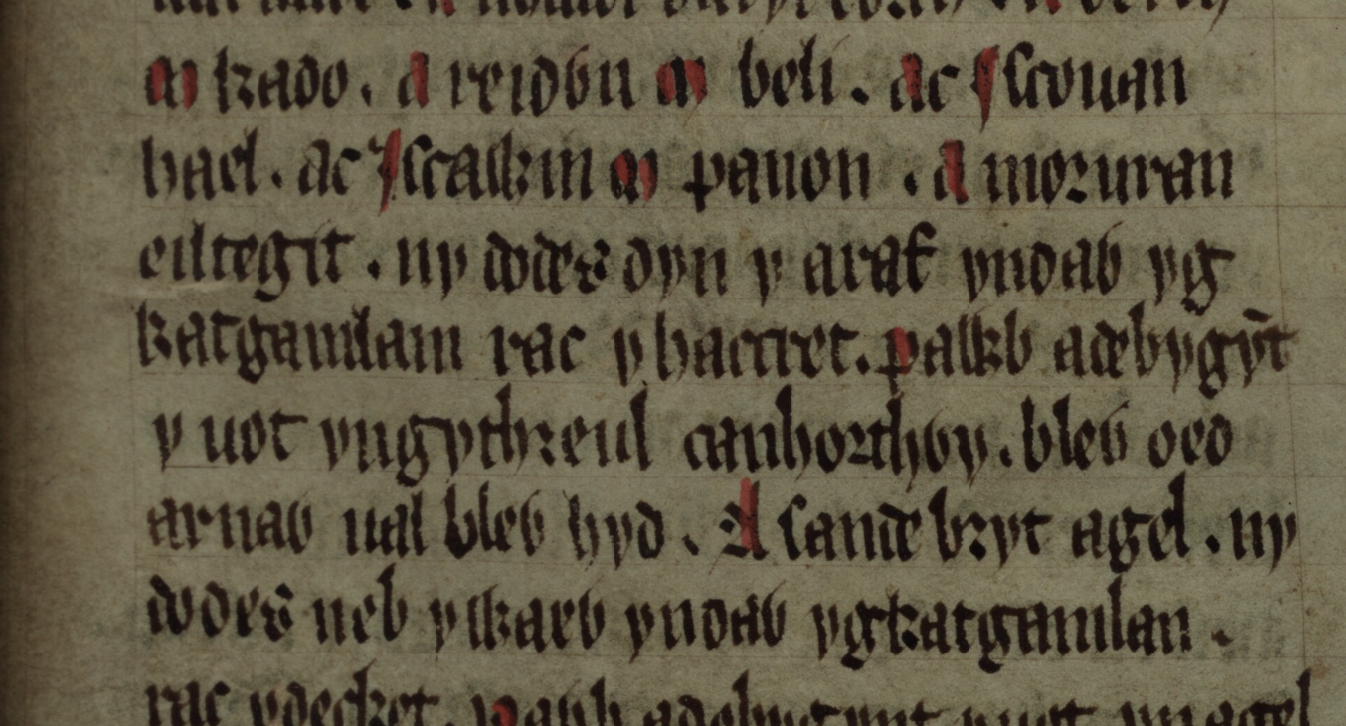 Culhwch und Olwen, Folio 202r, mit zwei Verweisen auf die Schlacht von Camlann (Zeilen 4 und 7)