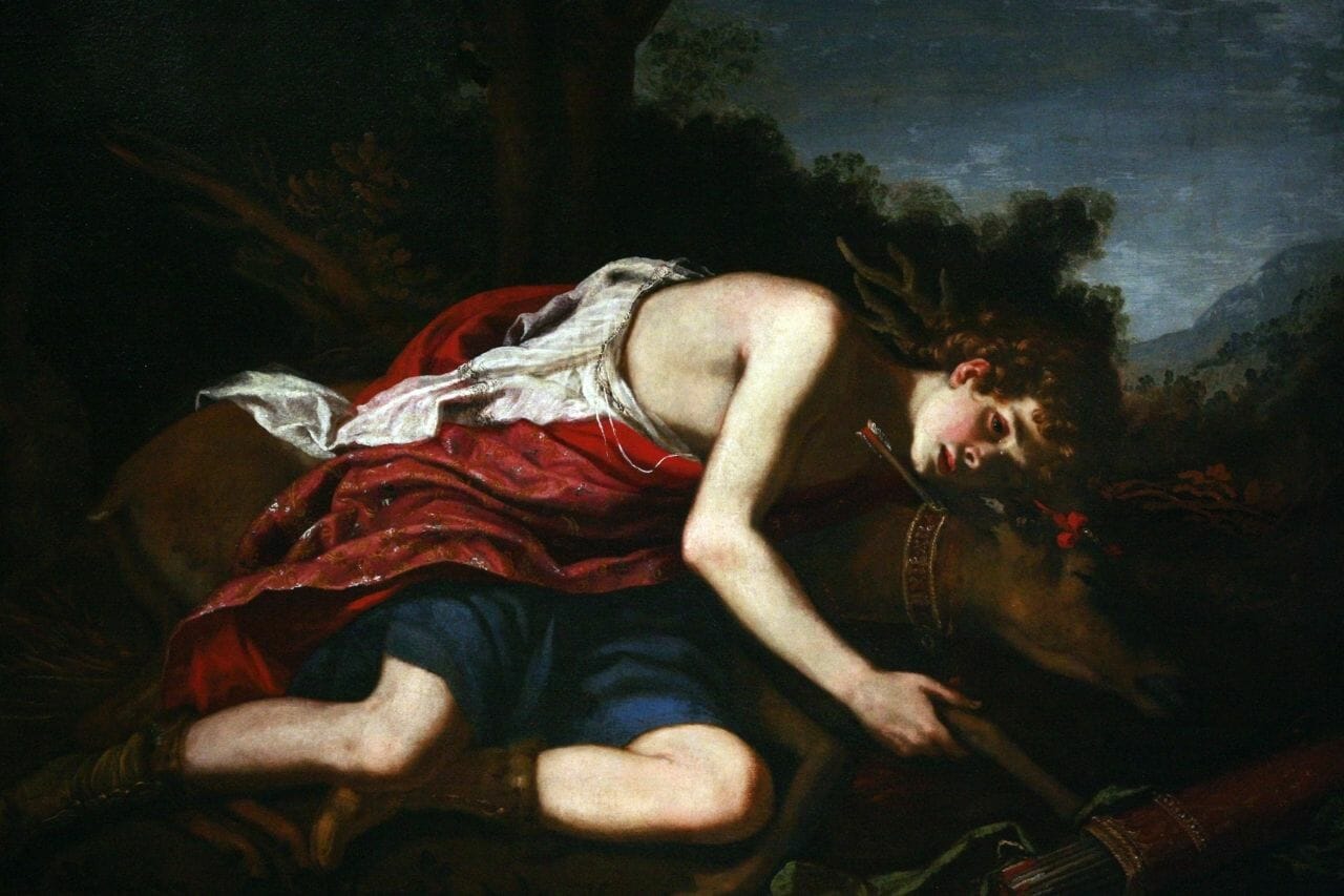 Kyparissos: Der Mythos hinter der Namensgebung des Zypressenbaums