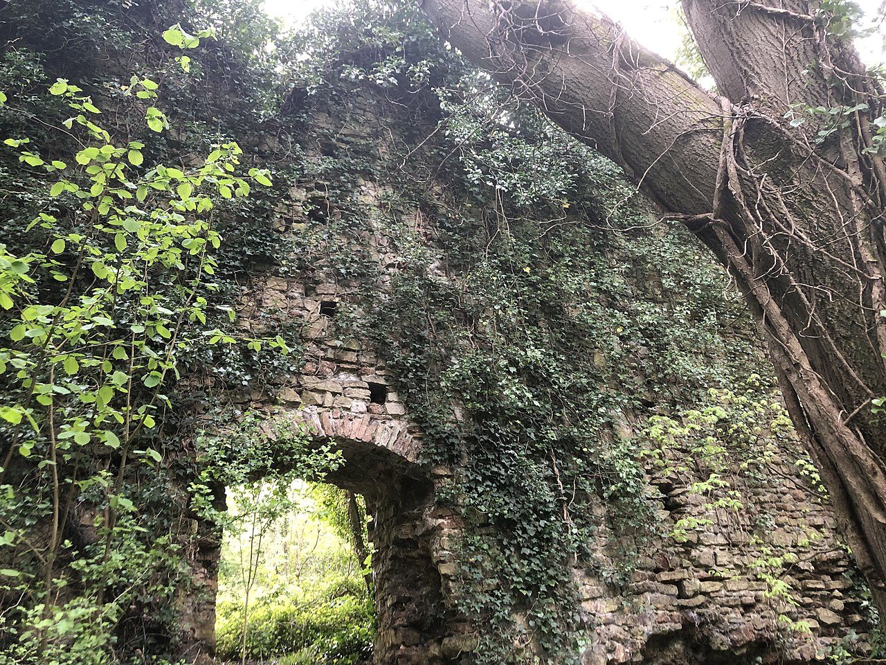 Teil der mittelalterlichen Ruinen von Dinas Powys