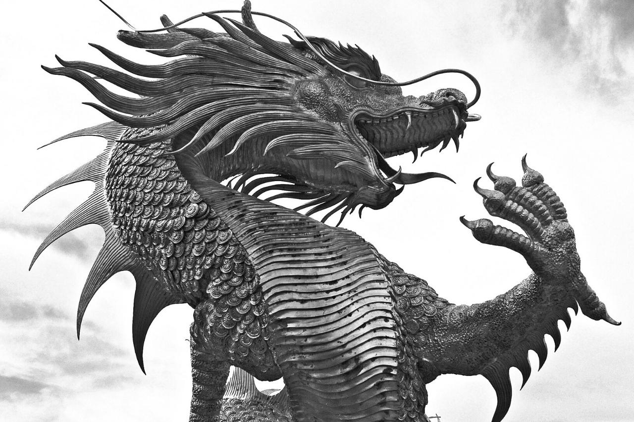 Der Drache mit Fell: Die Geschichte eines fliegenden Echsenwesens