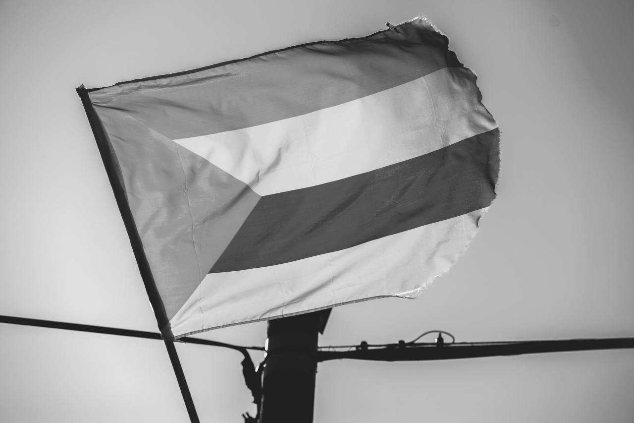 Die Drusen: Die geheimnisvollen Araber des Libanon, Syriens und Israels