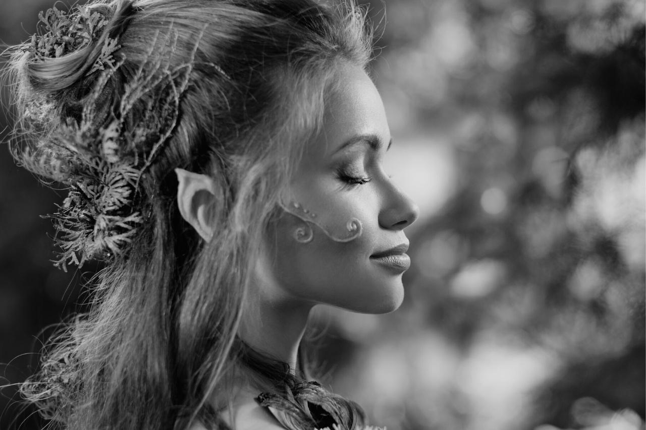 Elves are sorts of fairies