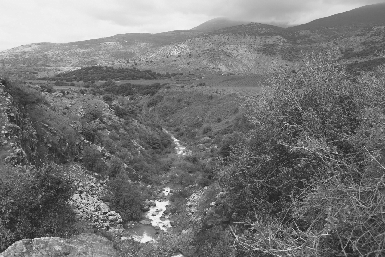 Warum sind die Golanhöhen für so viele Menschen so wichtig?