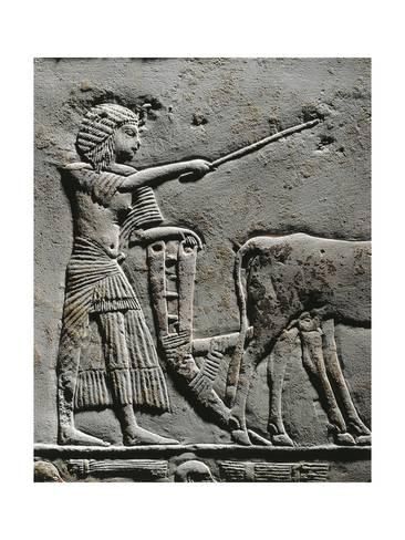 Horemheb ploughing land in the fields of Iaru relief from the tomb of Horemheb