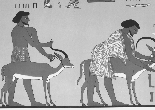 Image of ancient Egypt's famers