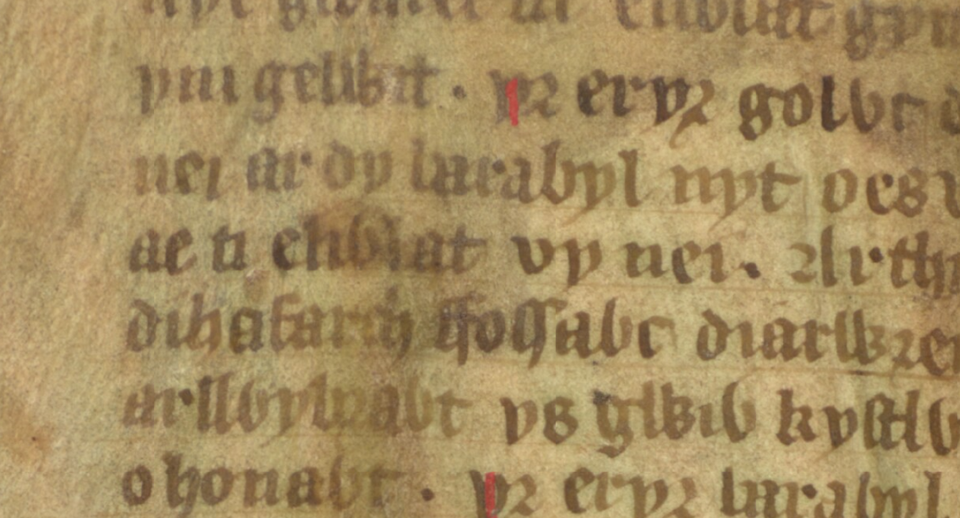 Eliwlod, Neffe von König Artus