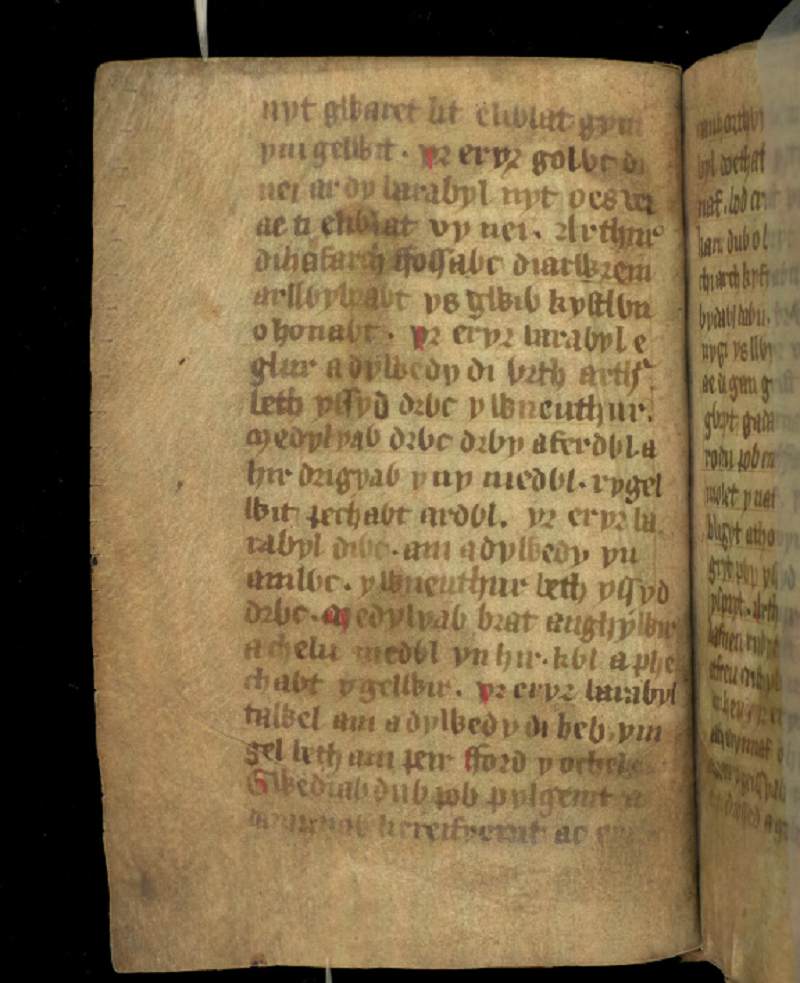 Jesus College MS 20, folio 1v, showing the first page of the poem <i>Ymddiddan Arthur a'r Eryr</i>, or <i>Arthur and the Eagle</i>
