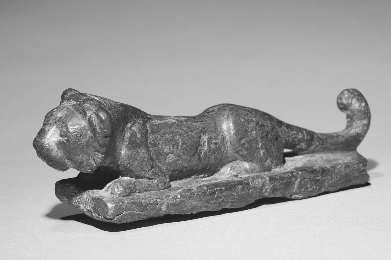 Lioness courtesy of the Cleveland Museum of Art