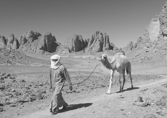 Algerien: Eine Geschichte von Kampf und Unabhängigkeit