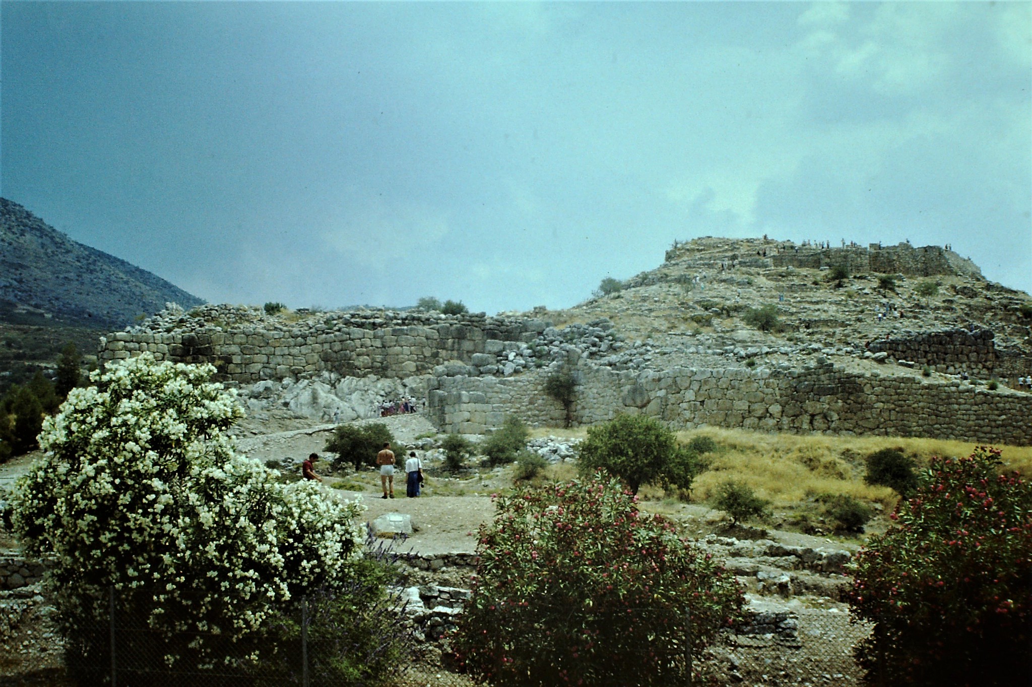 War Agamemnon der König von Mykene oder Argos?