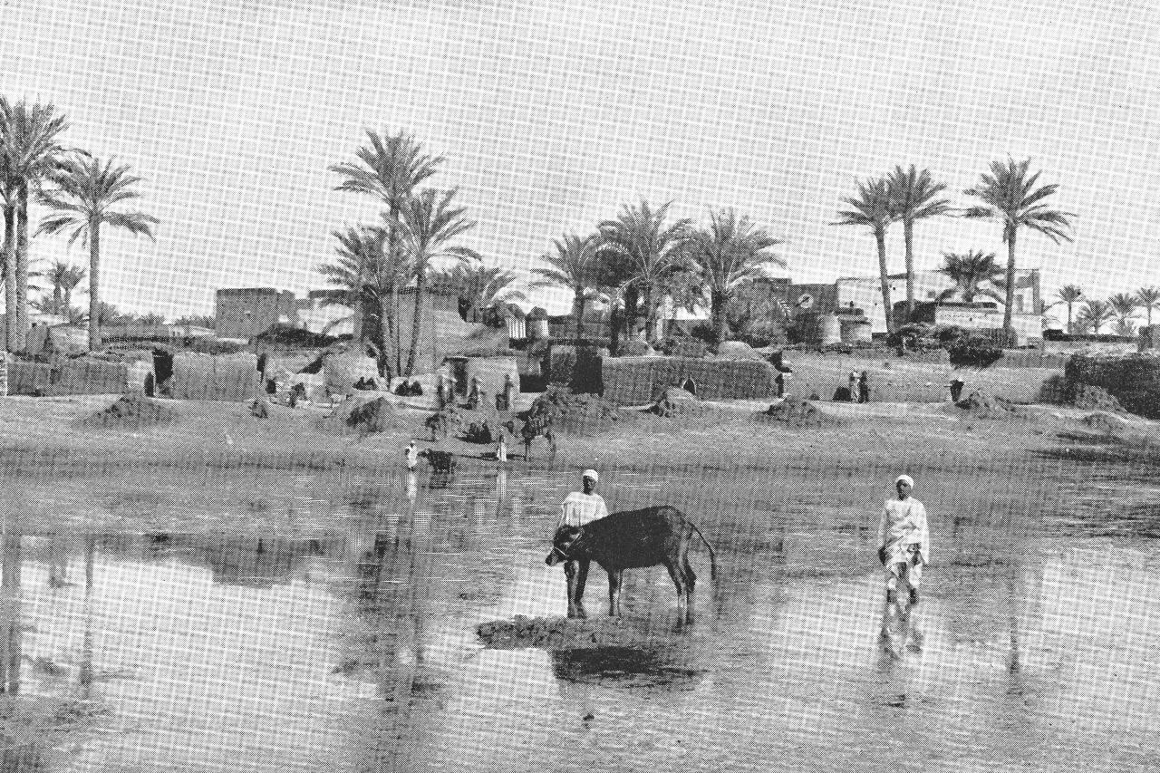 Die Sozialstruktur des Osmanischen Reiches: Der Grund für den Untergang des Reiches