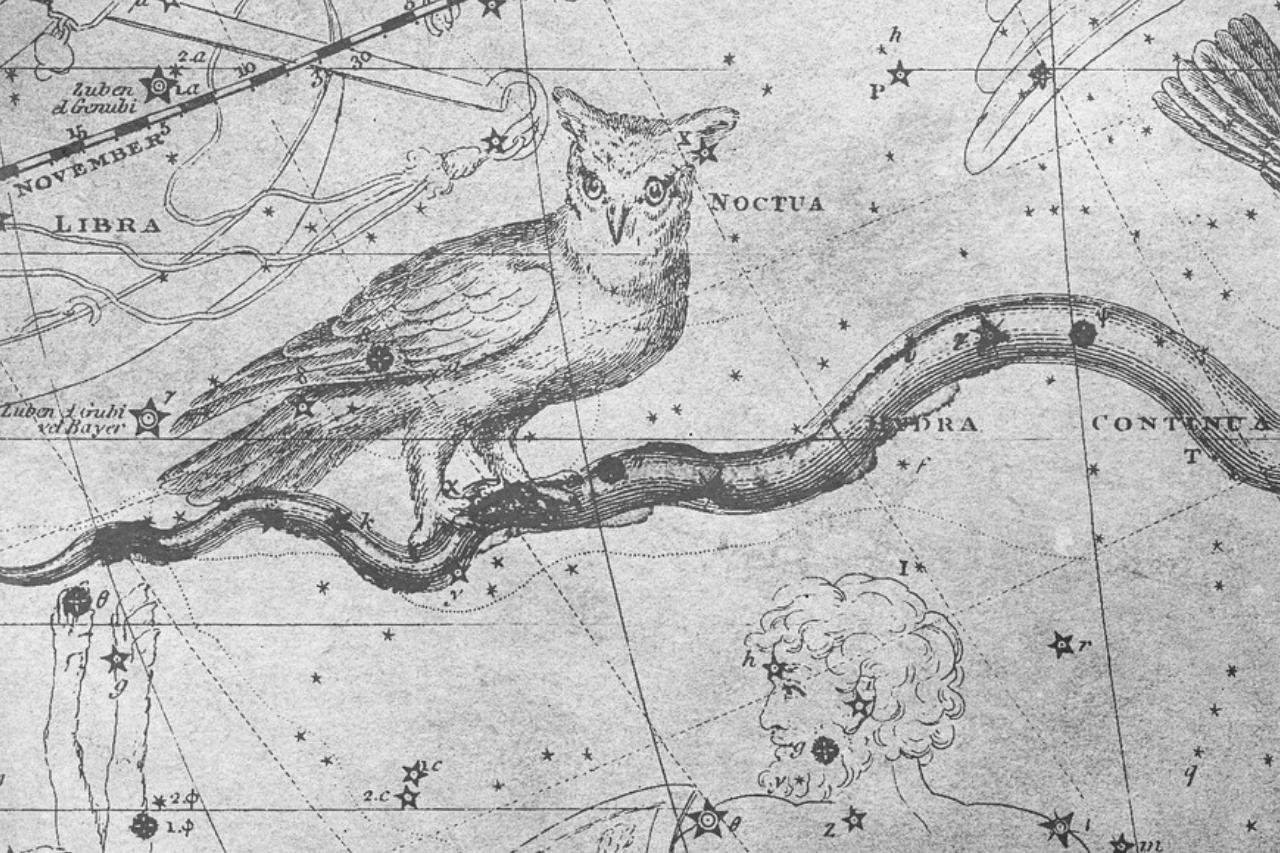 Eulen in der nordischen Mythologie: Der Gott der Weisheit