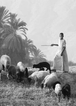 Shepherd in ancient Egypt