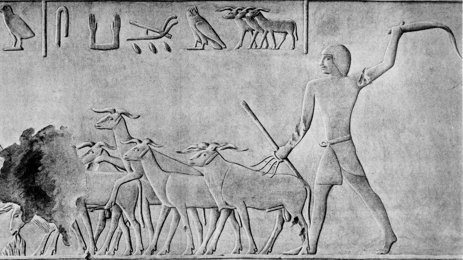 Warum galten Hirten in Ägypten als Abscheu? Vier überzeugende Theorien