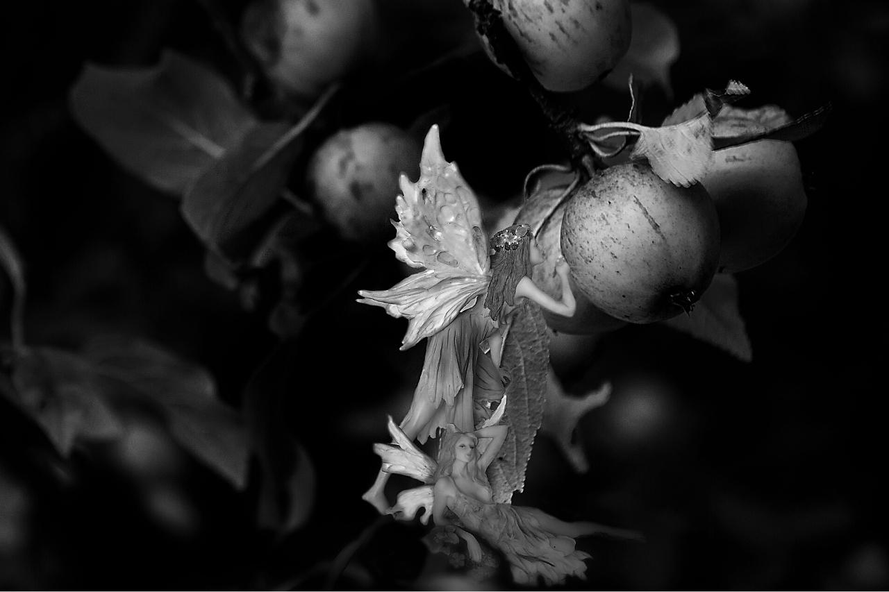 Was essen Feen und wer gibt ihnen Nahrung