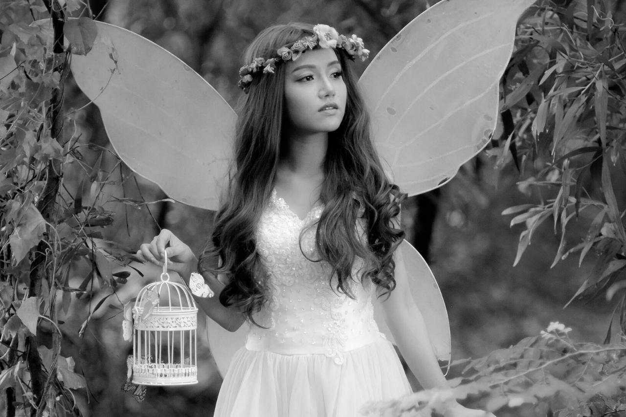 Warum sammeln Zahnfeen Zähne und wofür werden sie verwendet?